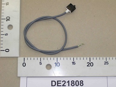 DE21808
