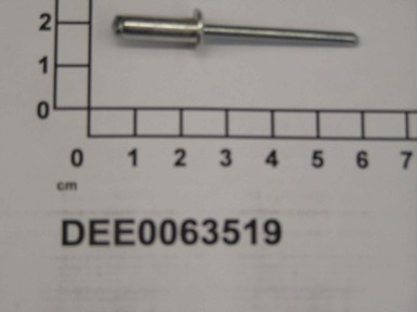 DEE0063519
