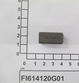 FI614120G01
