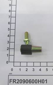 FR2090600H01