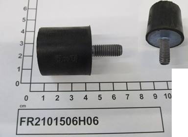 FR2101506H06