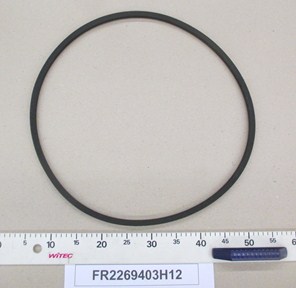FR2269403H12
