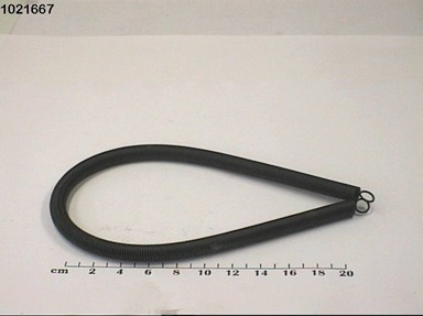 IT1021667