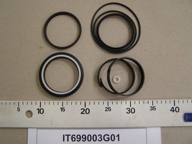 IT699003G01