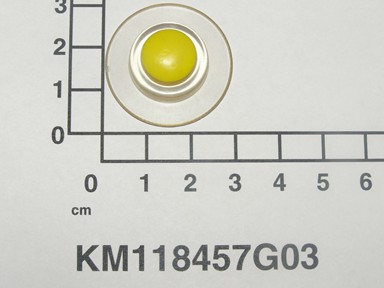KM118457G03