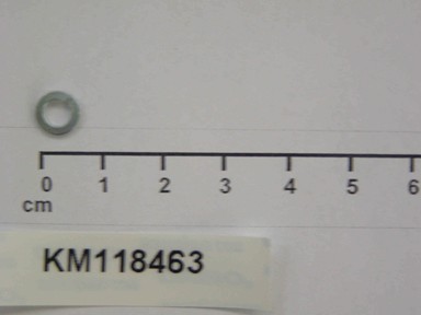 KM118463