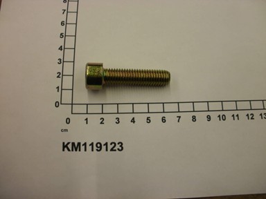 KM119123