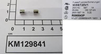 KM129841