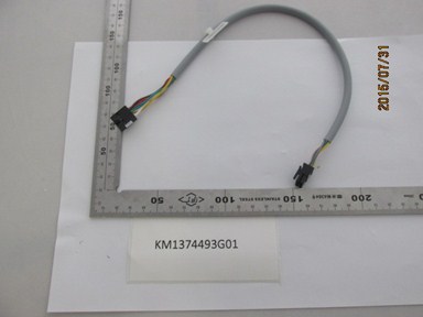 KM1374493G01