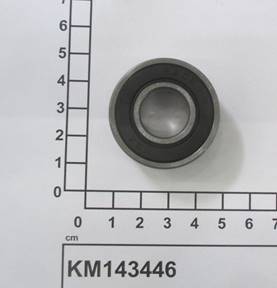 KM143446