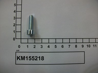 KM155218