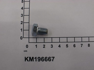 KM196667