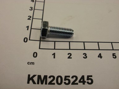 KM205245