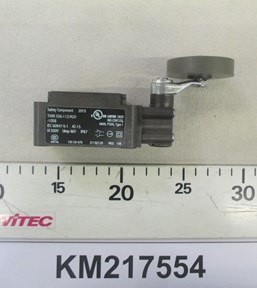 KM217554