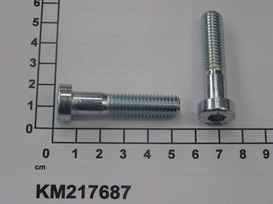 KM217687