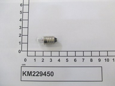 KM229450