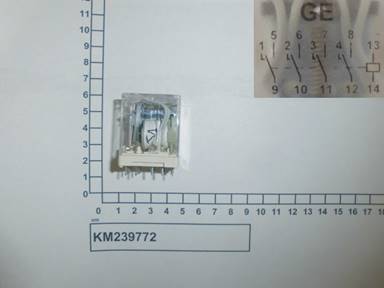 KM239772