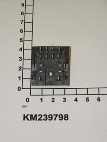 KM239798