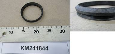 KM241844