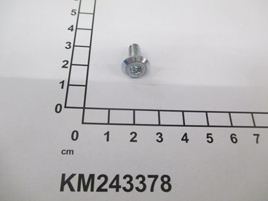 KM243378