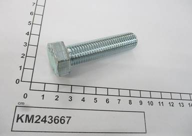 KM243667