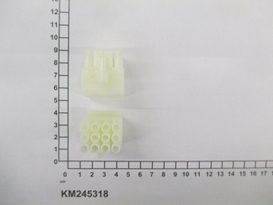 KM245318