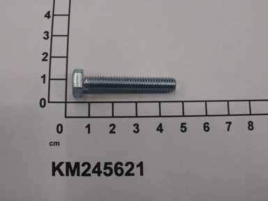 KM245621