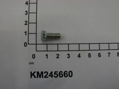KM245660