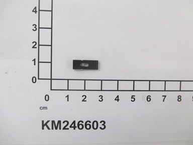 KM246603