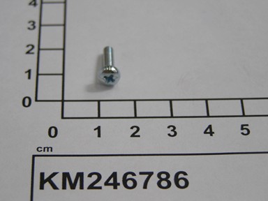 KM246786