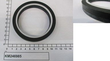 KM246985