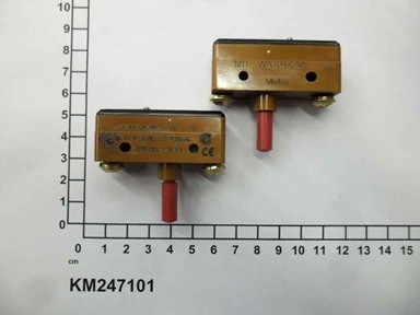 KM247101