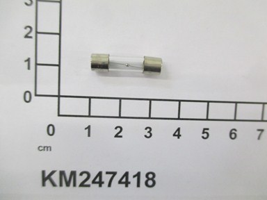 KM247418