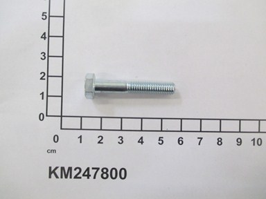 KM247800