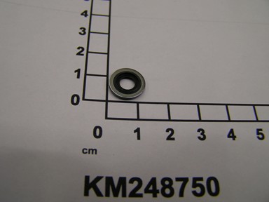 KM248750