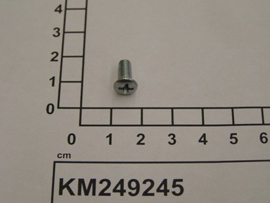 KM249245