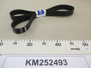 KM252493