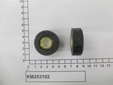 KM253102