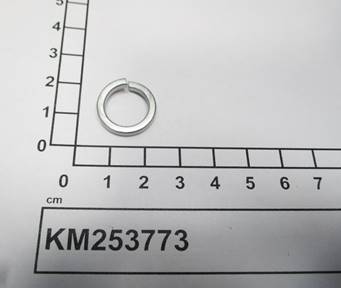 KM253773