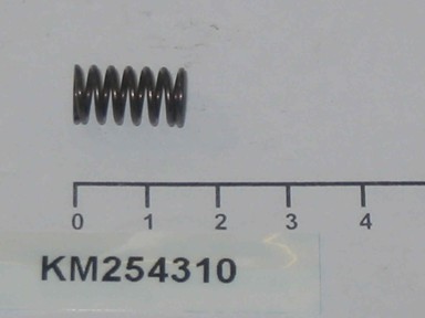 KM254310