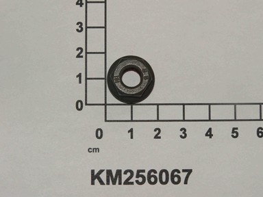 KM256067