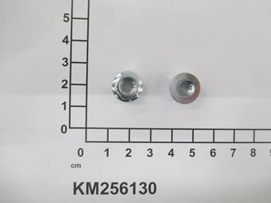 KM256130