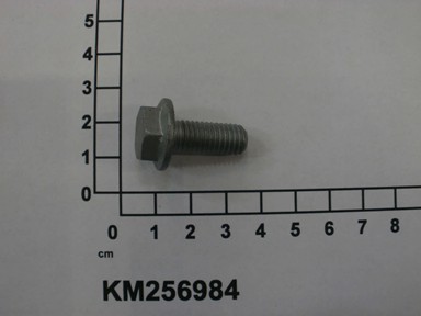 KM256984