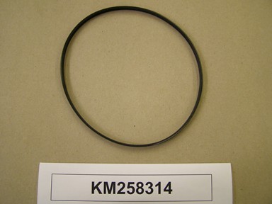 KM258314