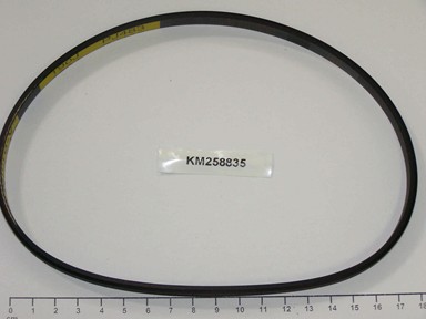 KM258835