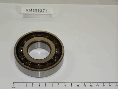 KM259274
