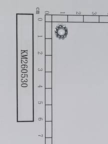 KM260530