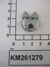 KM261279