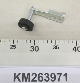 KM263971