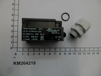 KM264219